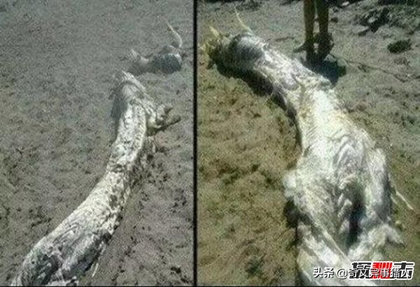 个性阳光可爱女生头像(22张)
